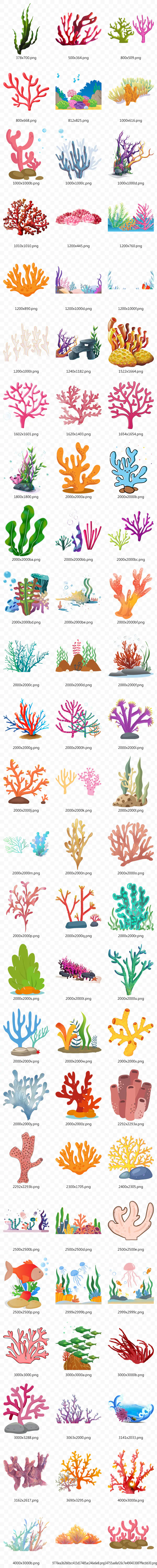 78款珊瑚海底植物卡通海藻png素材